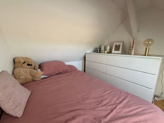Foto van de Kamer gelegen aan de Berg en Dalseweg in Nijmegen