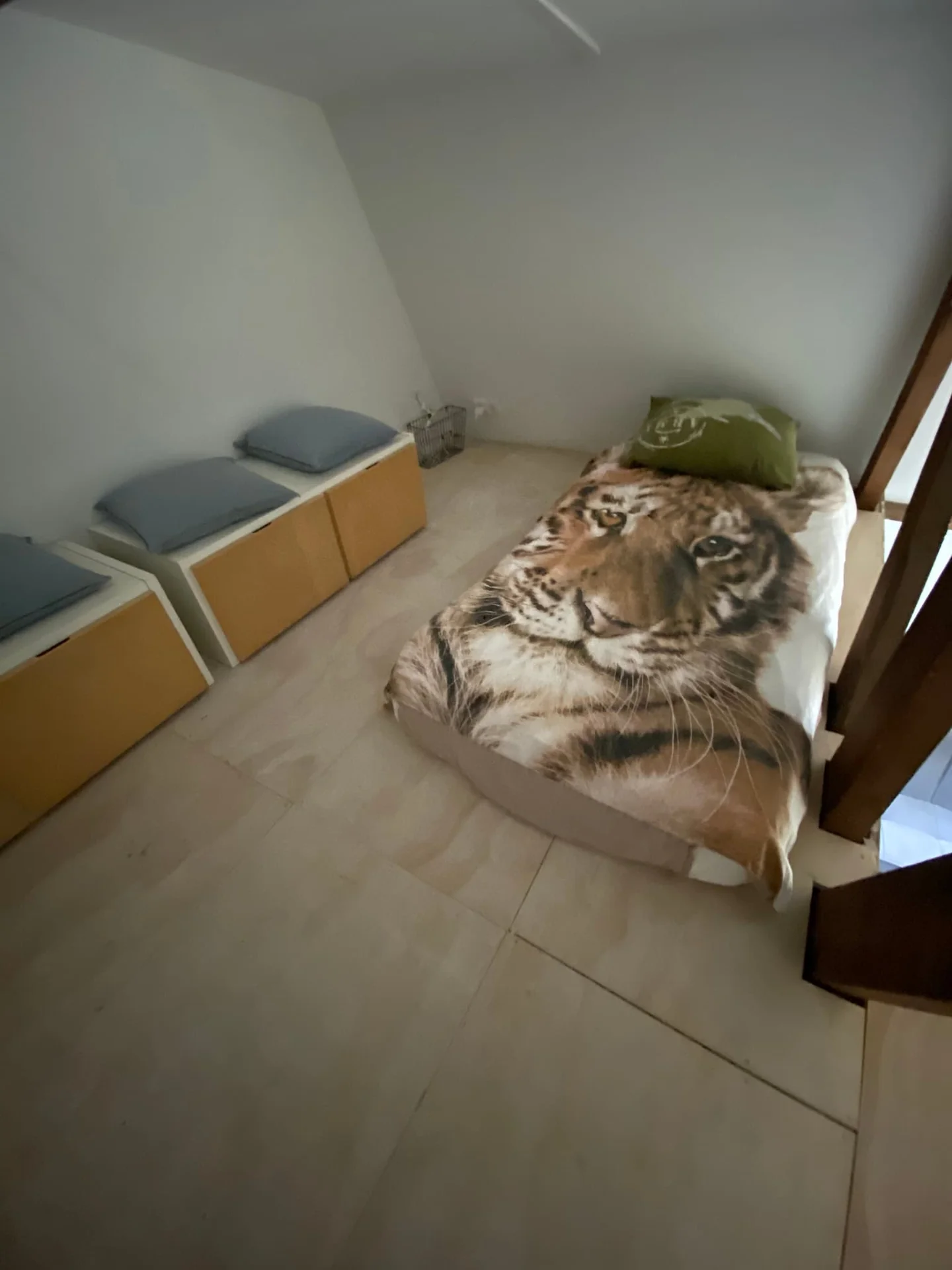 Foto van de Kamer gelegen aan de Mauritsstraat in Breda