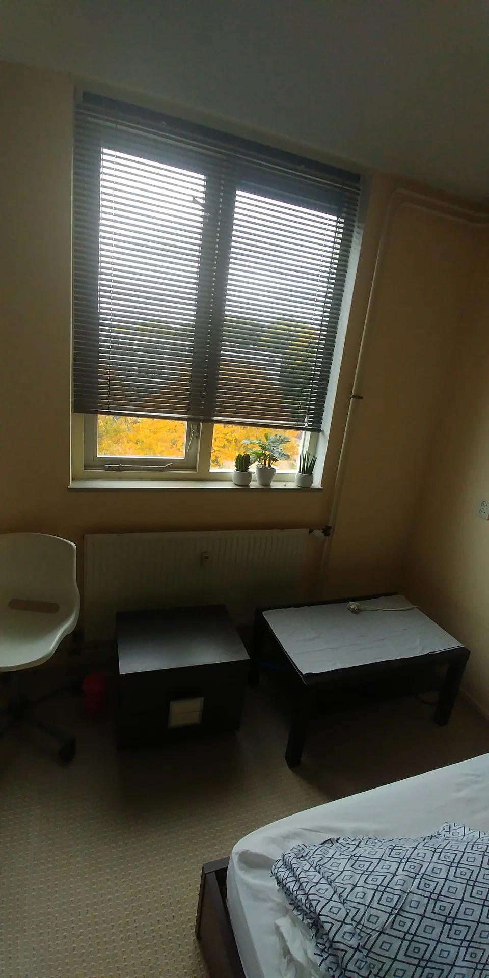 Foto van de Kamer gelegen aan de Korfoedreef in Utrecht