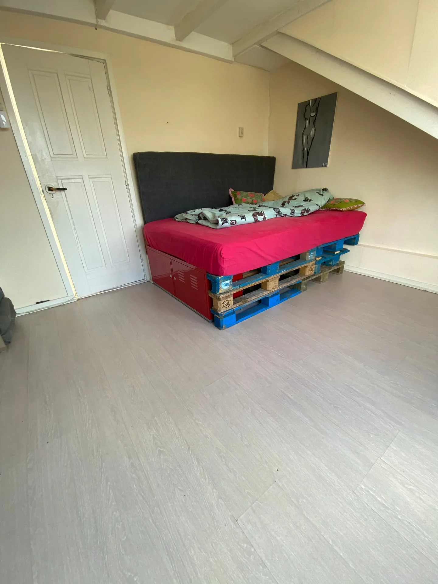 Foto van de Kamer gelegen aan de Brinklaan in Groningen