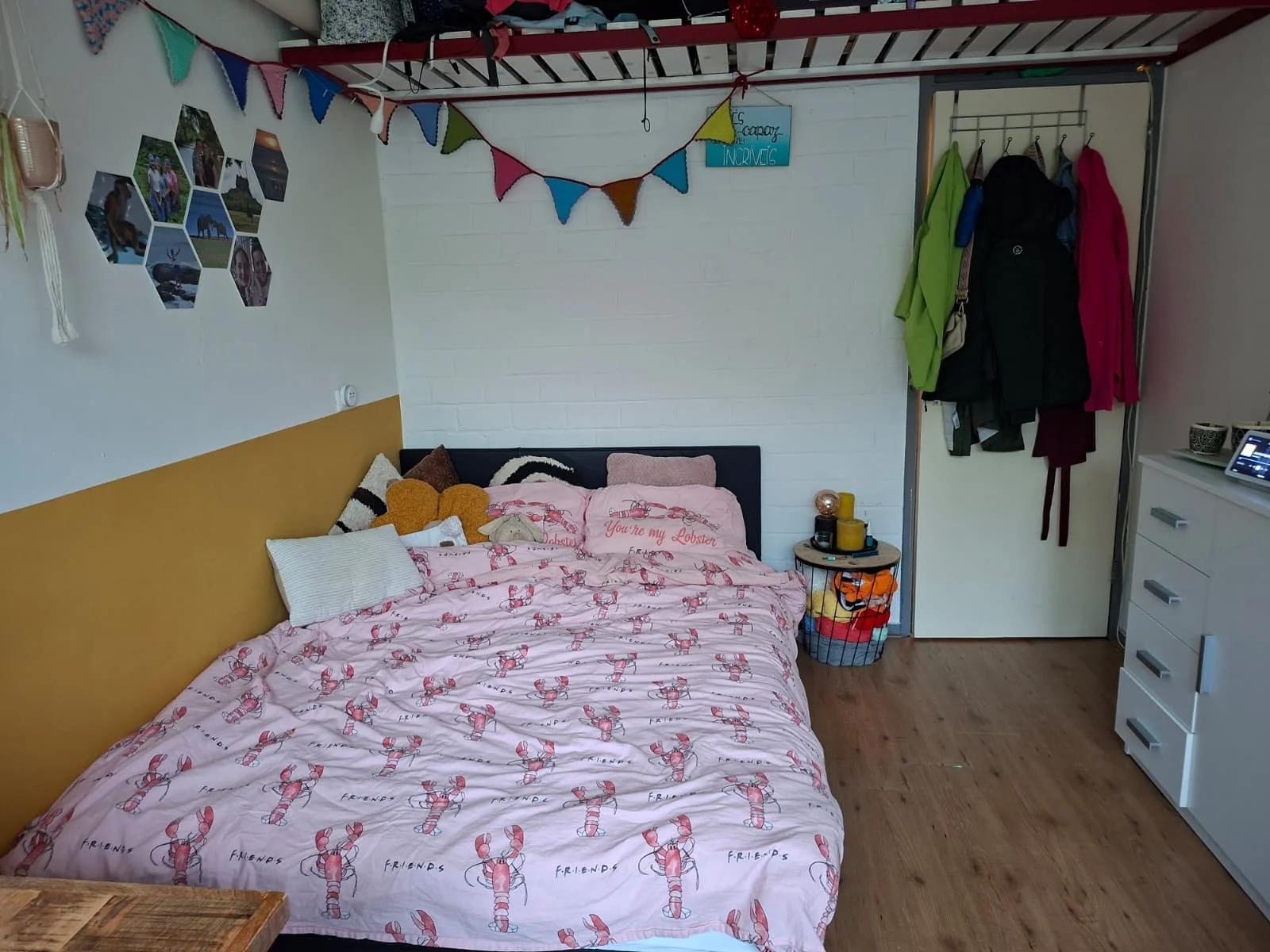 geblurde versie van de foto als achtergrond