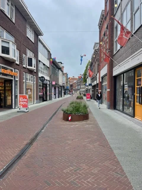 geblurde versie van de foto als achtergrond