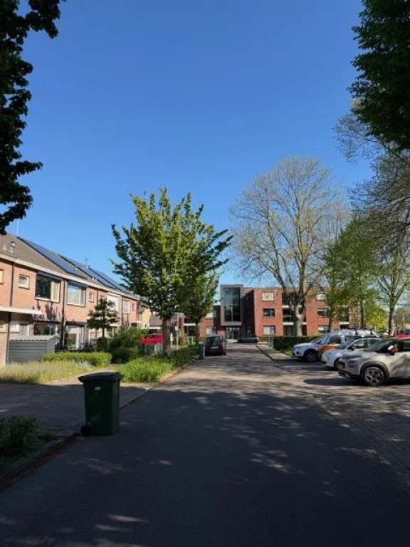 geblurde versie van de foto als achtergrond