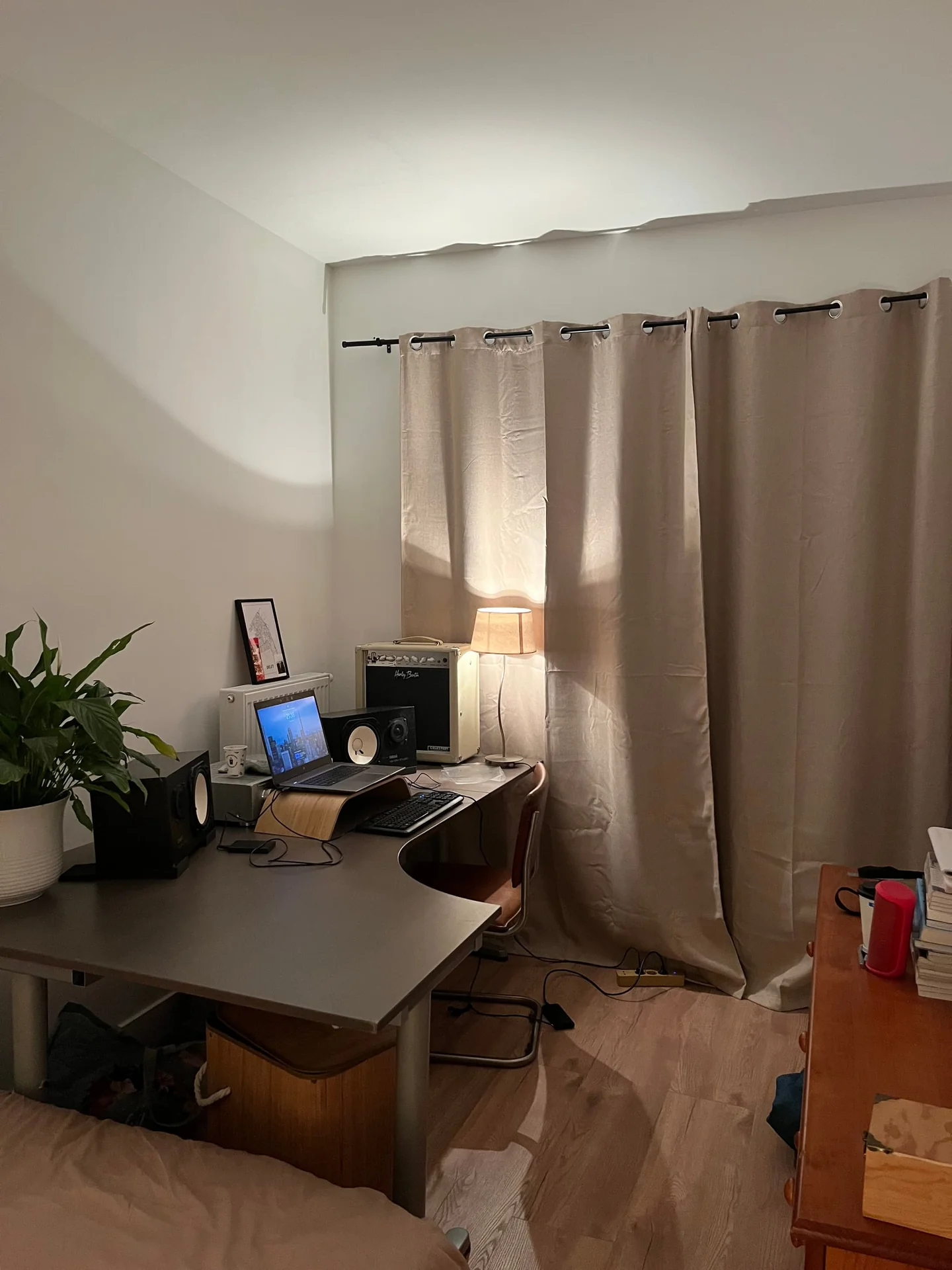 geblurde versie van de foto als achtergrond