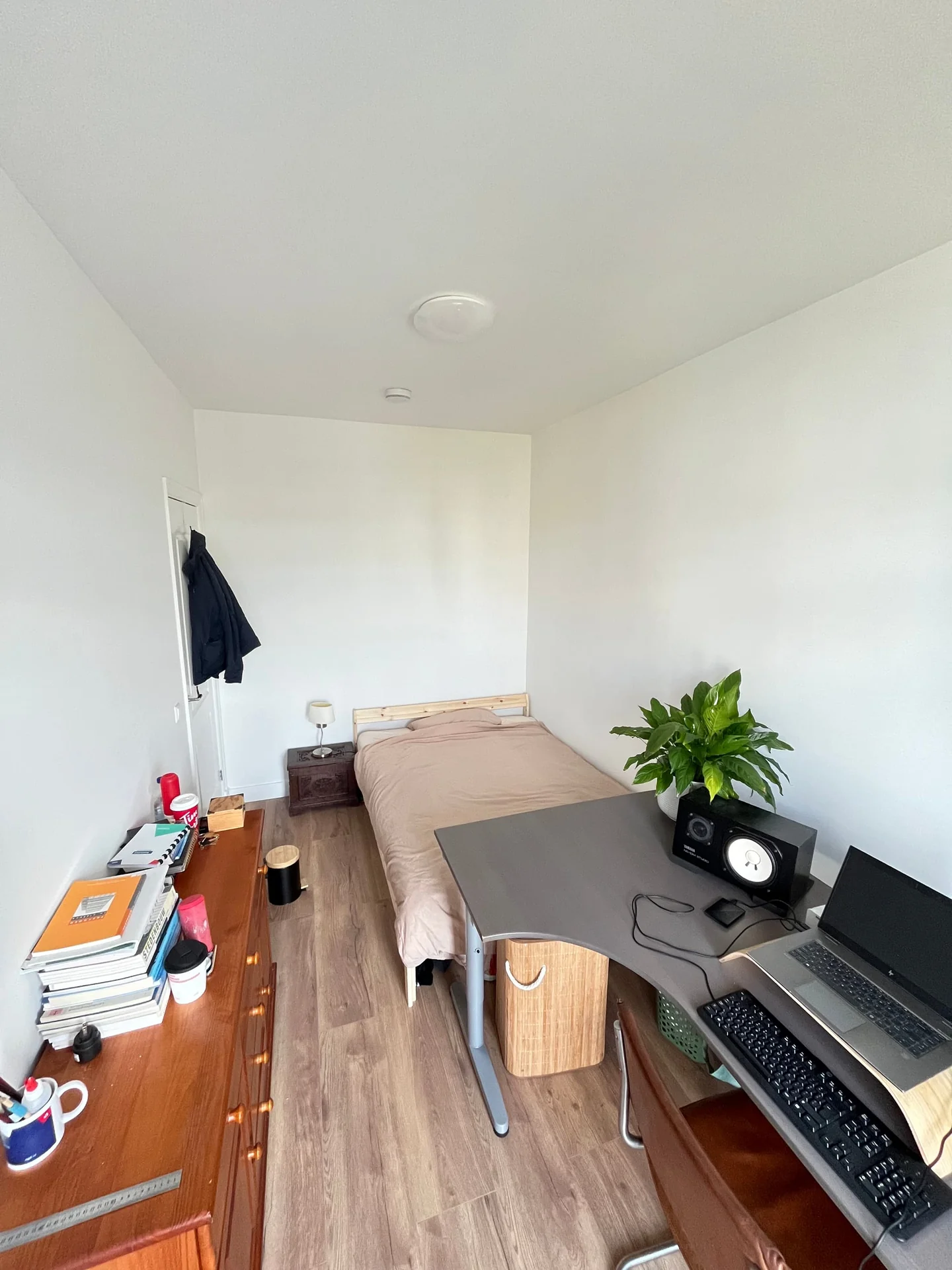 Foto van de Kamer gelegen aan de Noordplein in Rotterdam