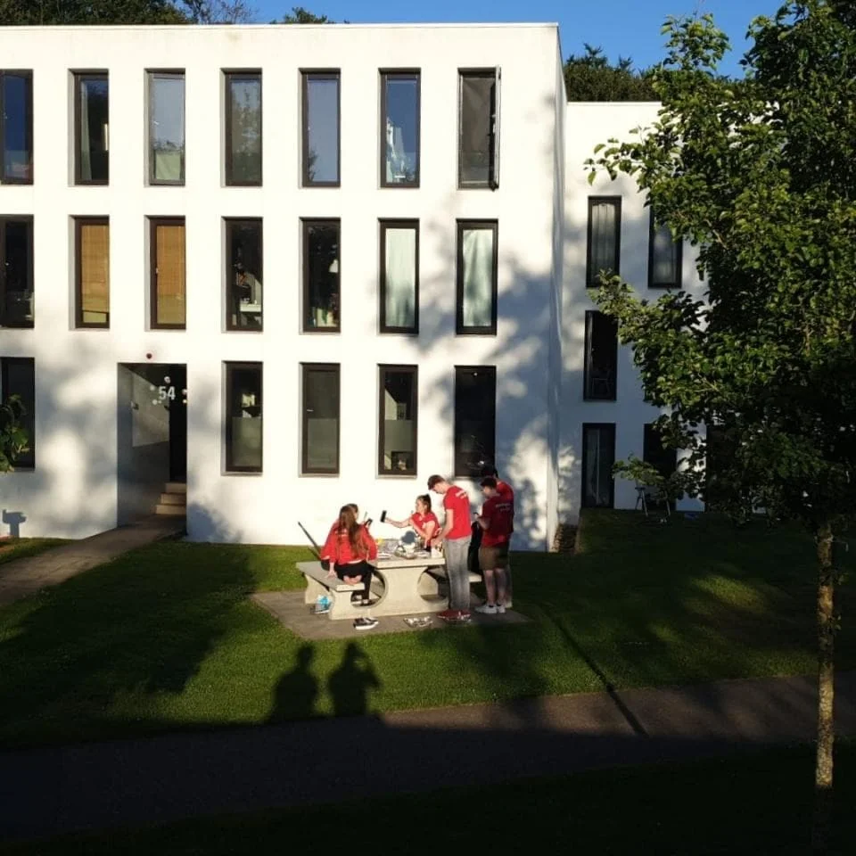geblurde versie van de foto als achtergrond