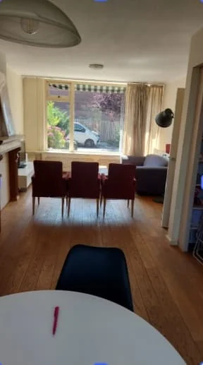 geblurde versie van de foto als achtergrond