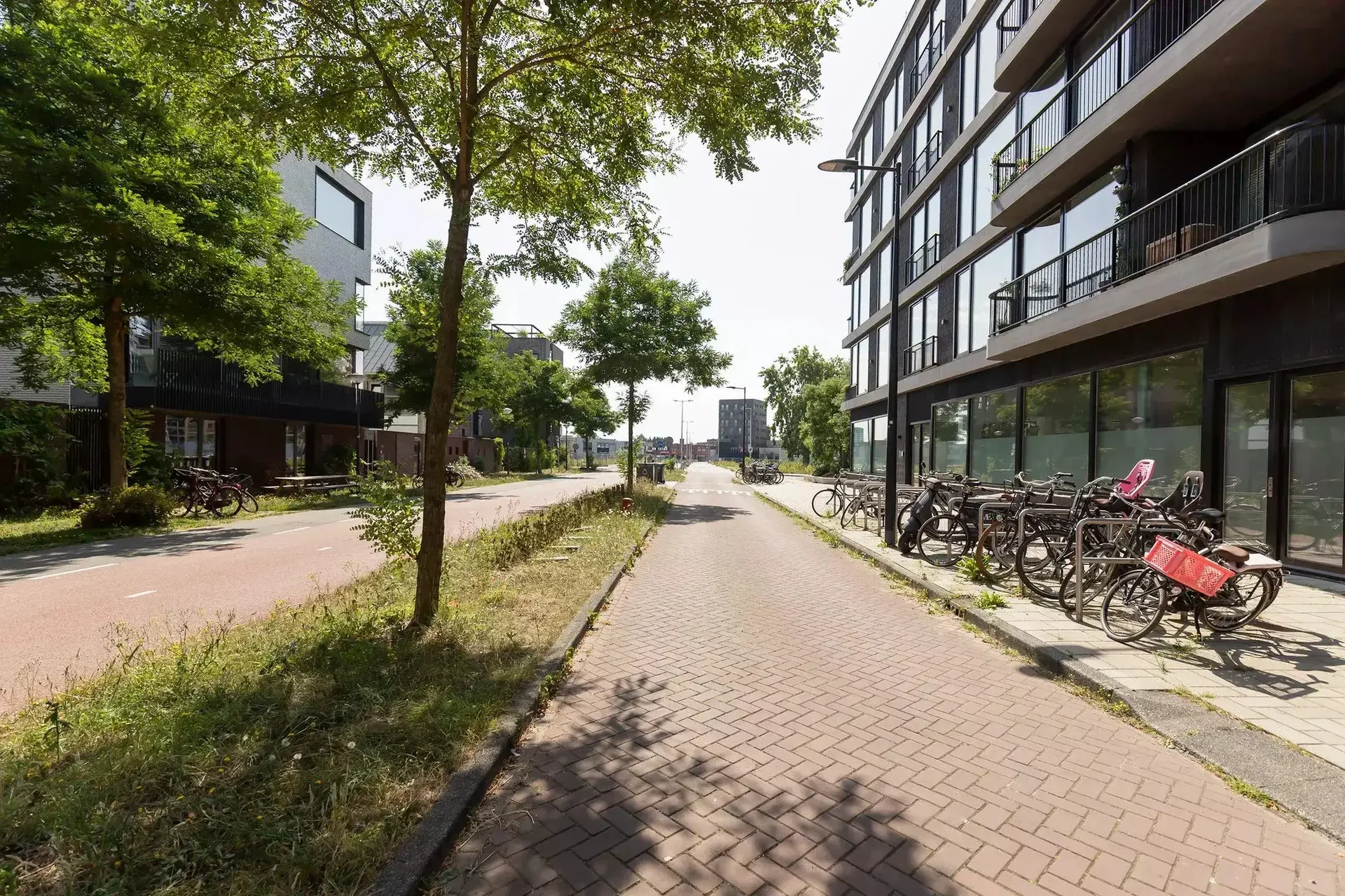 geblurde versie van de foto als achtergrond