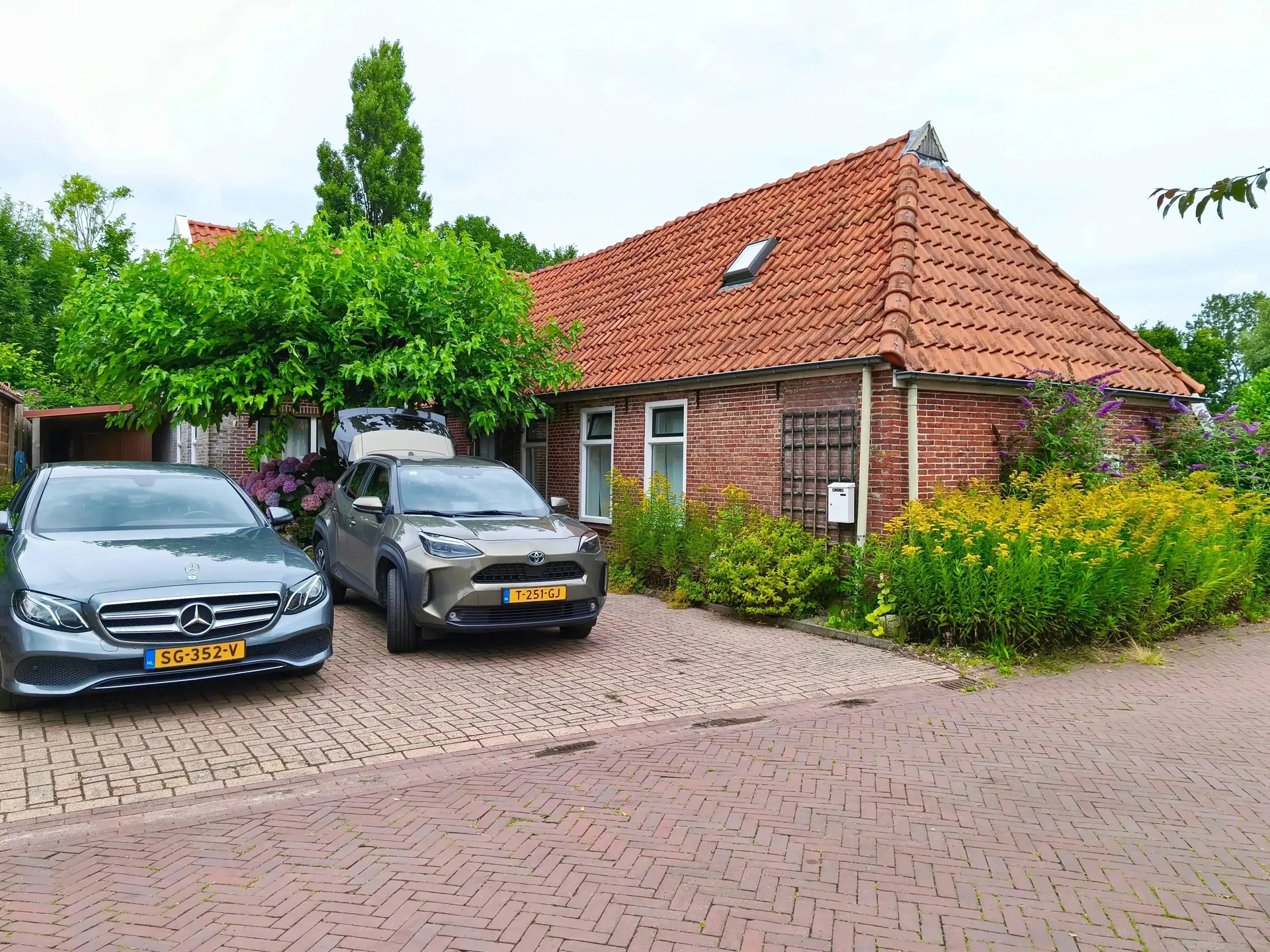 geblurde versie van de foto als achtergrond
