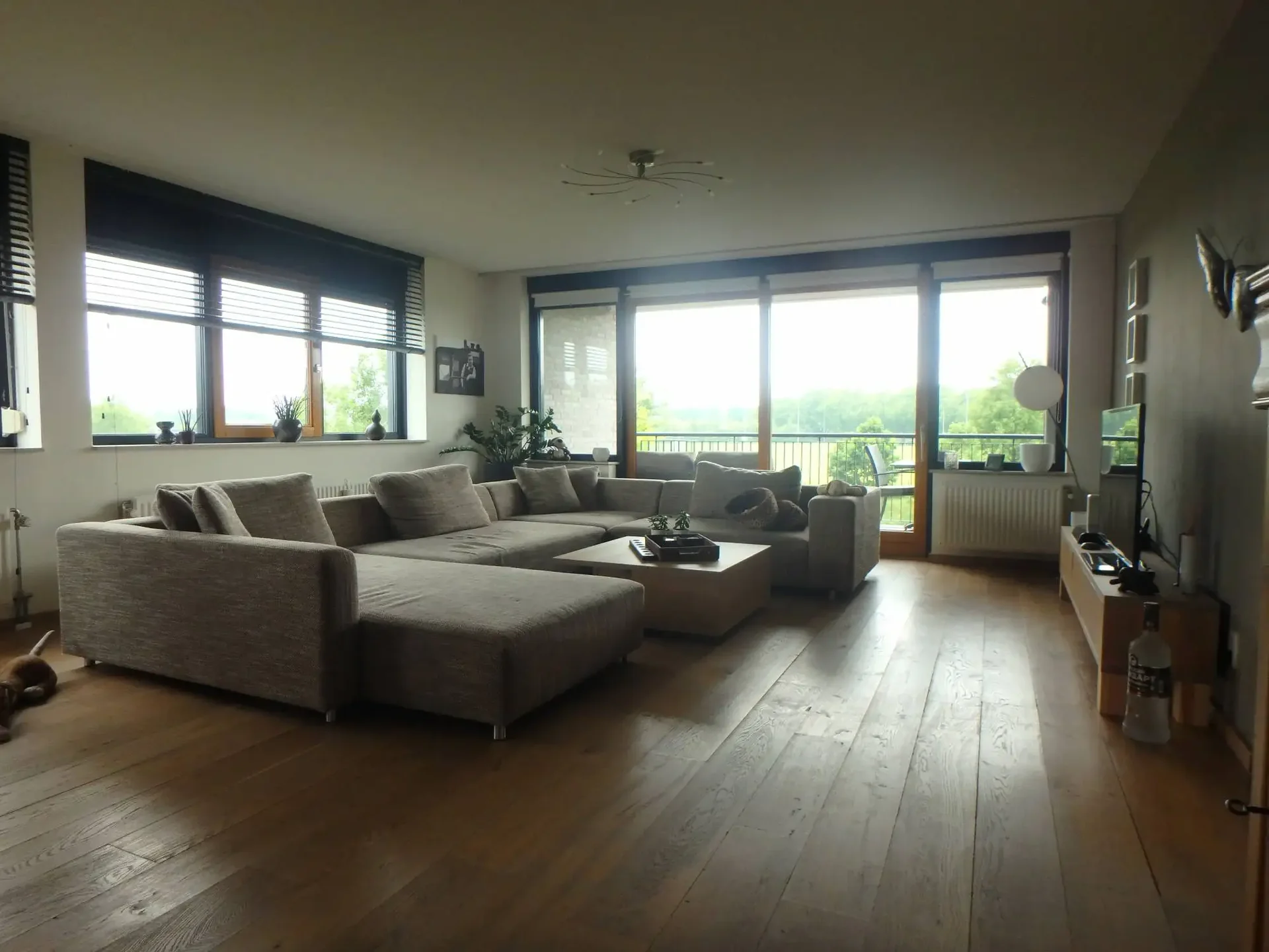 Foto van de Appartement gelegen aan de Grasbaan in Eindhoven