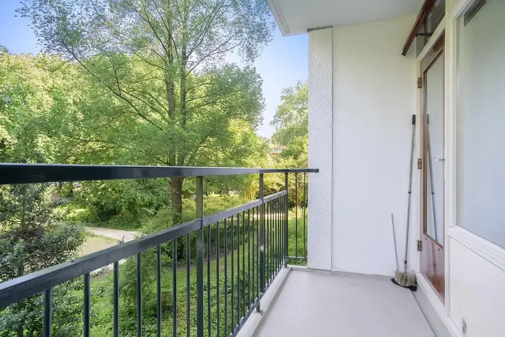 geblurde versie van de foto als achtergrond