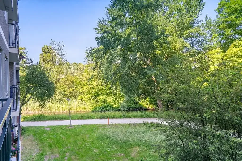 geblurde versie van de foto als achtergrond