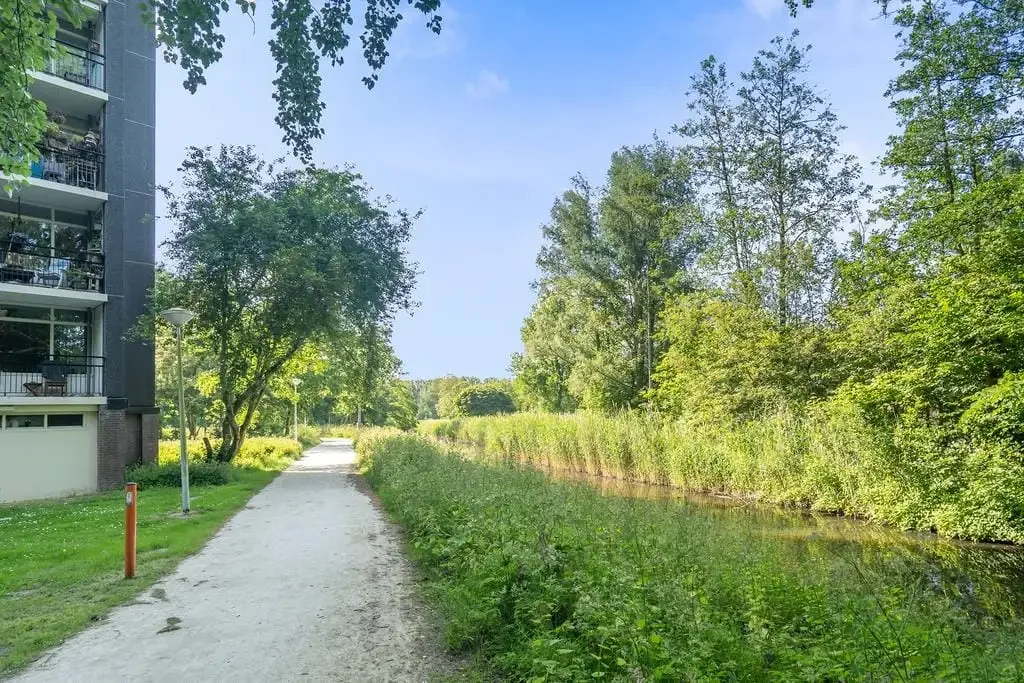 geblurde versie van de foto als achtergrond