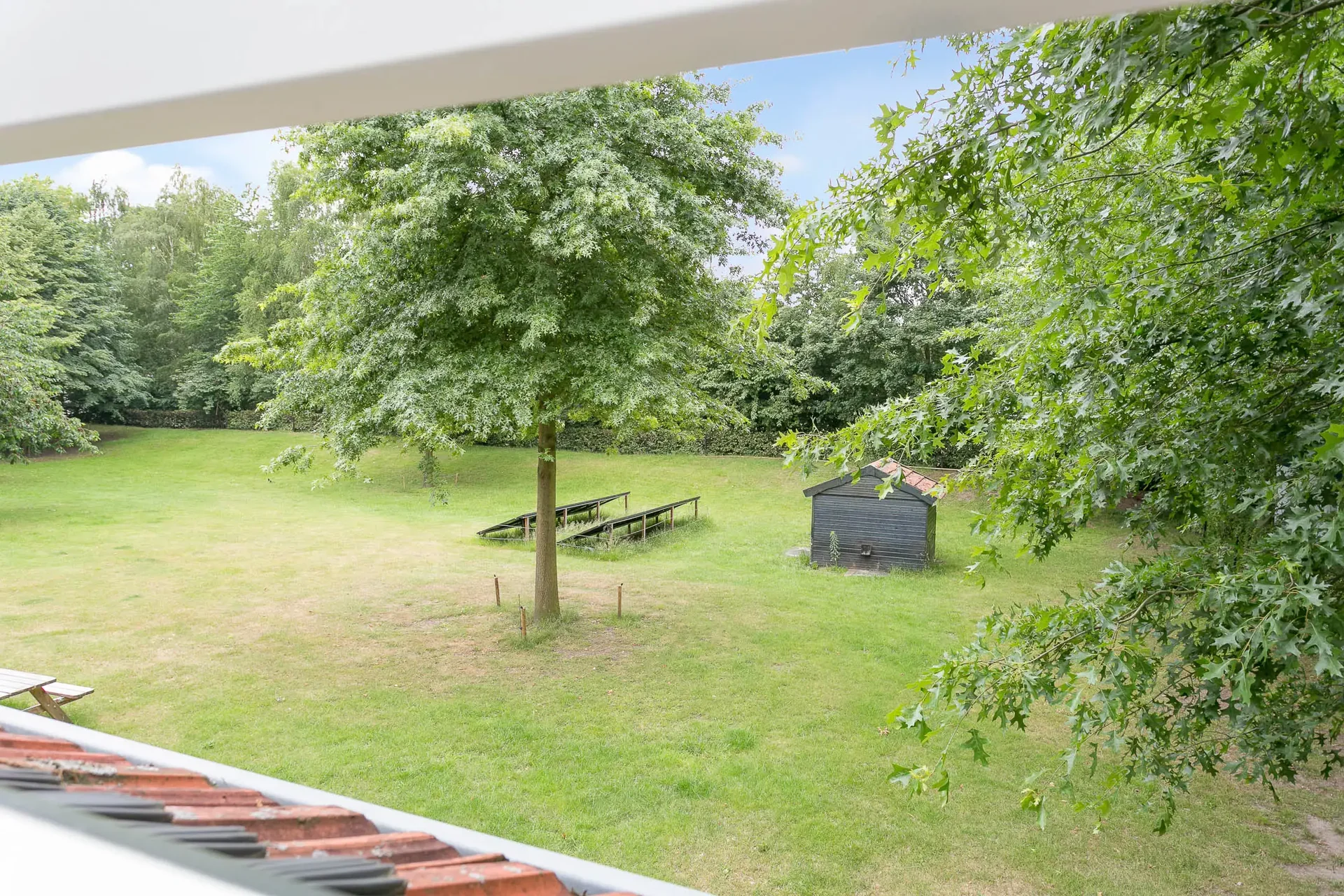 geblurde versie van de foto als achtergrond