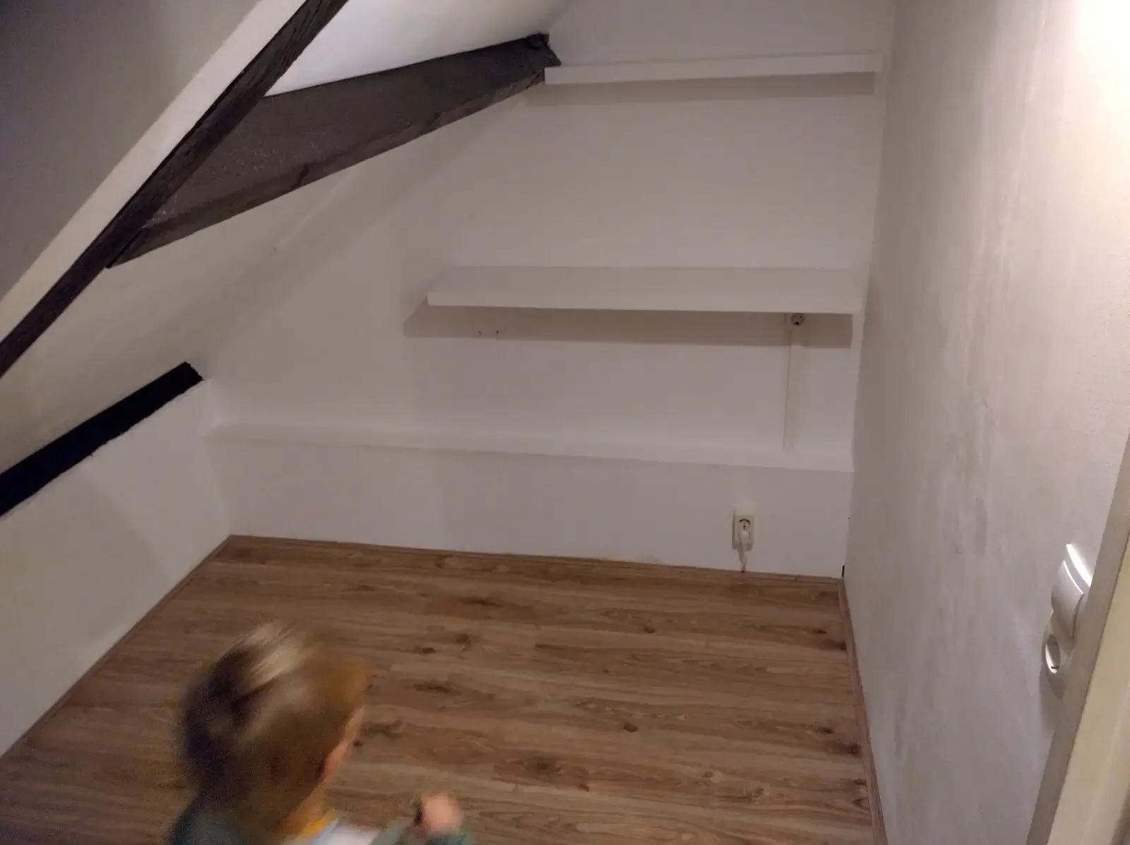 geblurde versie van de foto als achtergrond