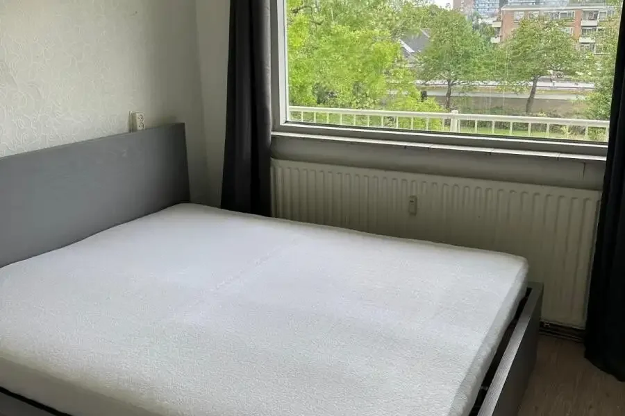 geblurde versie van de foto als achtergrond