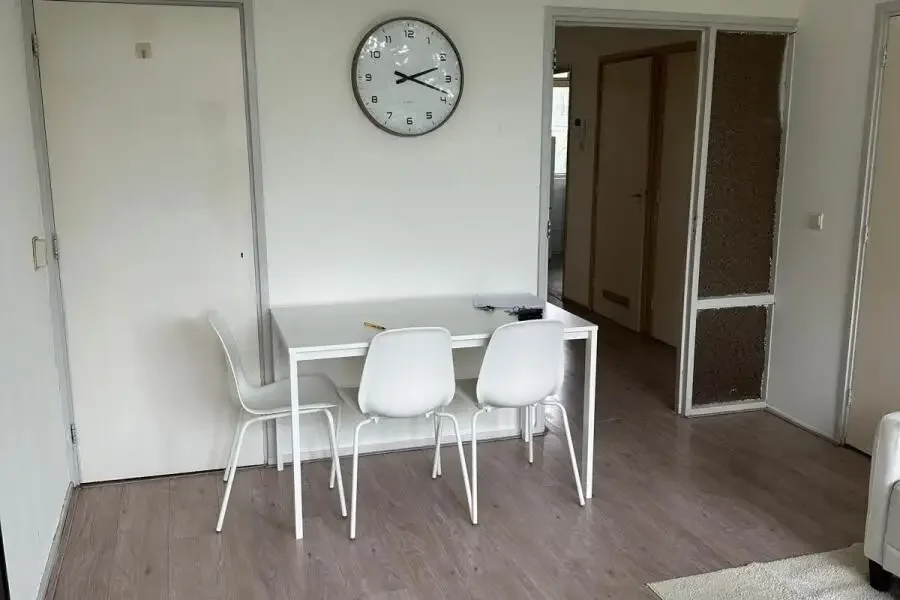 geblurde versie van de foto als achtergrond