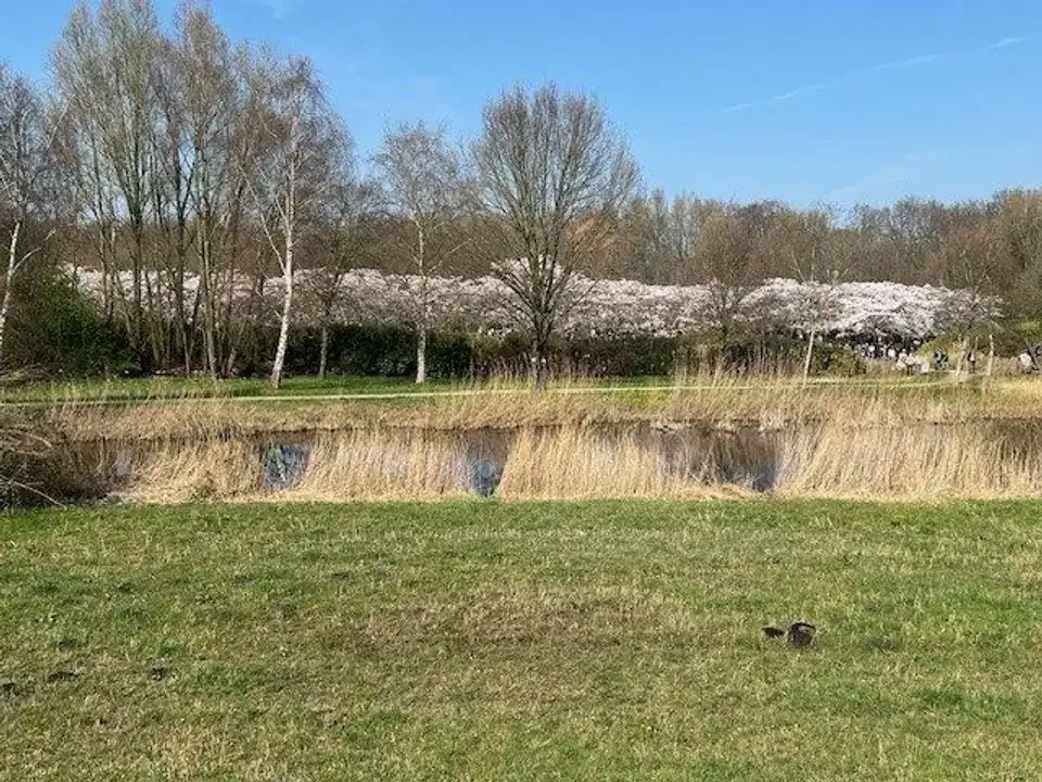 Foto van de Appartement gelegen aan de Noorddammerlaan in Amstelveen