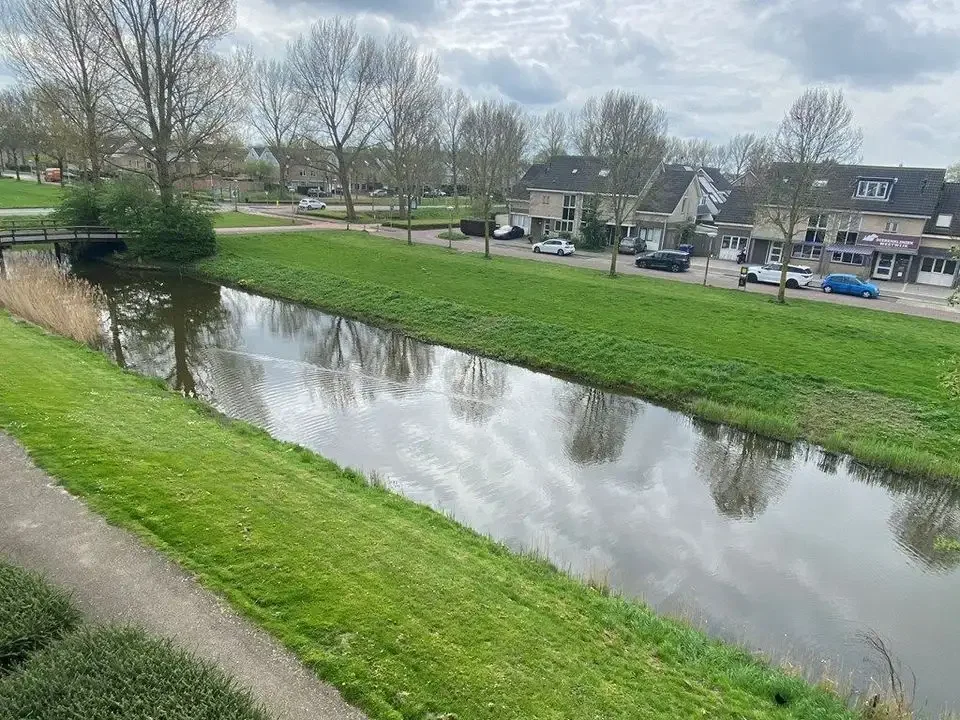 geblurde versie van de foto als achtergrond