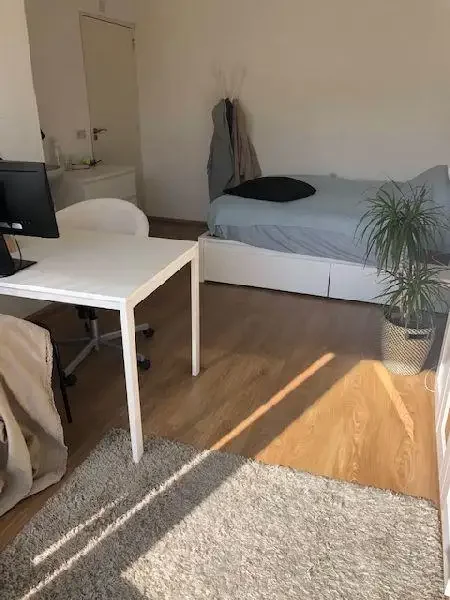 geblurde versie van de foto als achtergrond