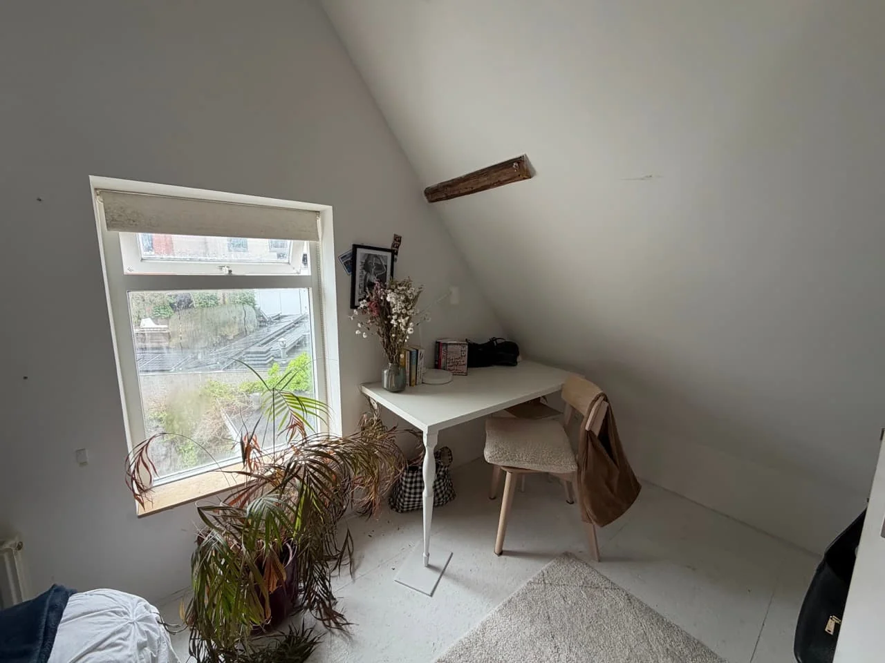 geblurde versie van de foto als achtergrond