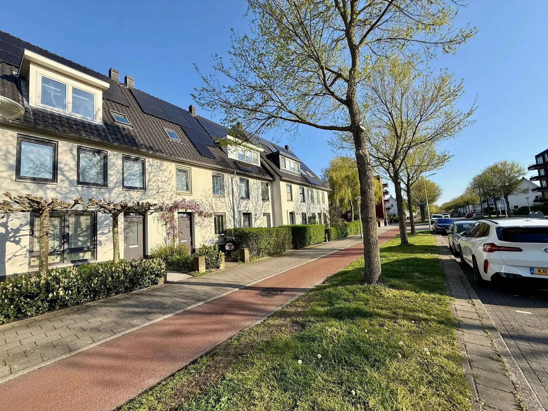 geblurde versie van de foto als achtergrond