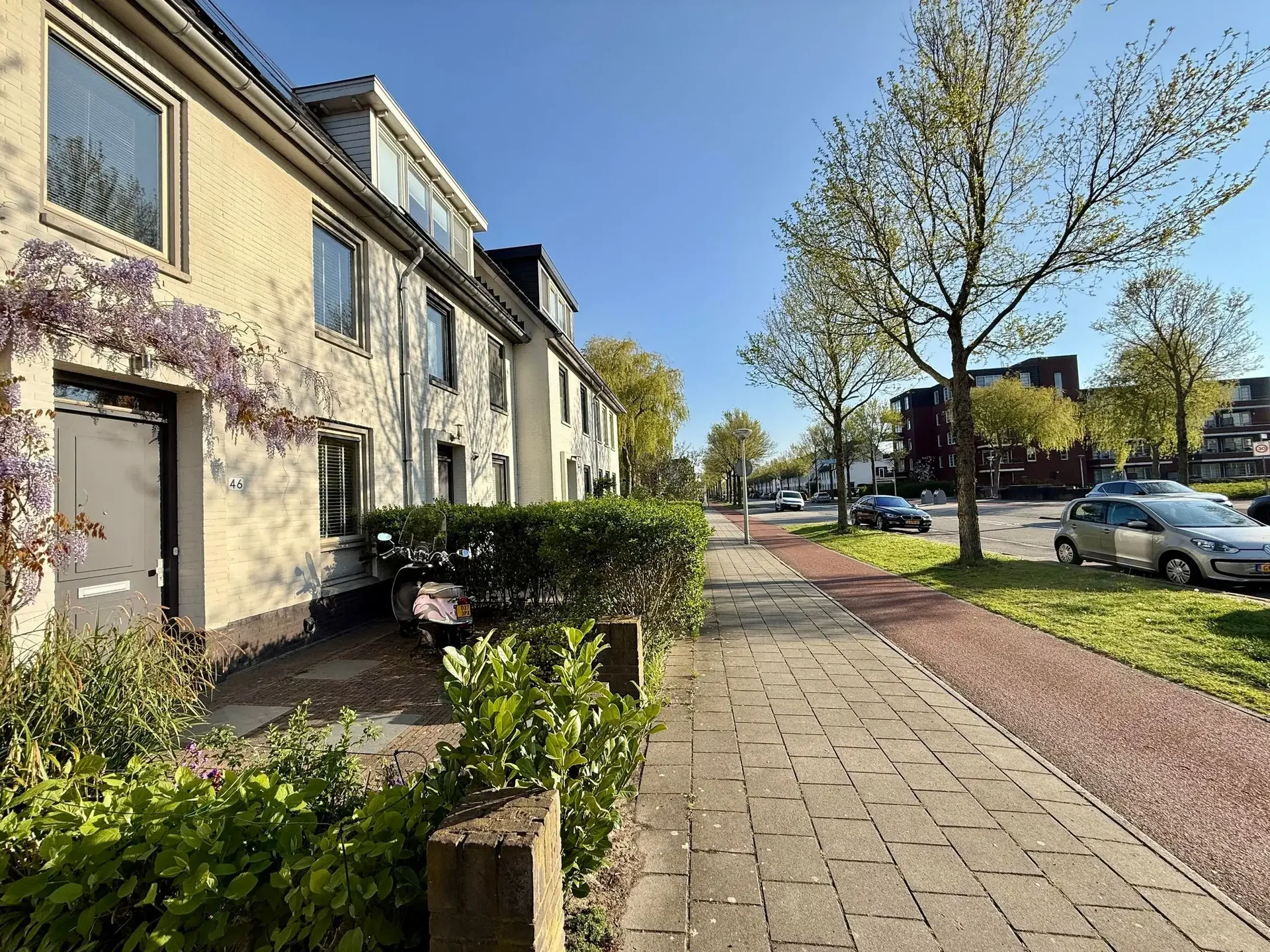 geblurde versie van de foto als achtergrond