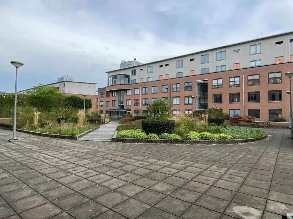 geblurde versie van de foto als achtergrond
