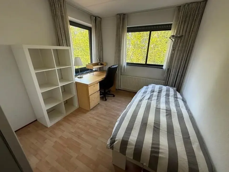 geblurde versie van de foto als achtergrond