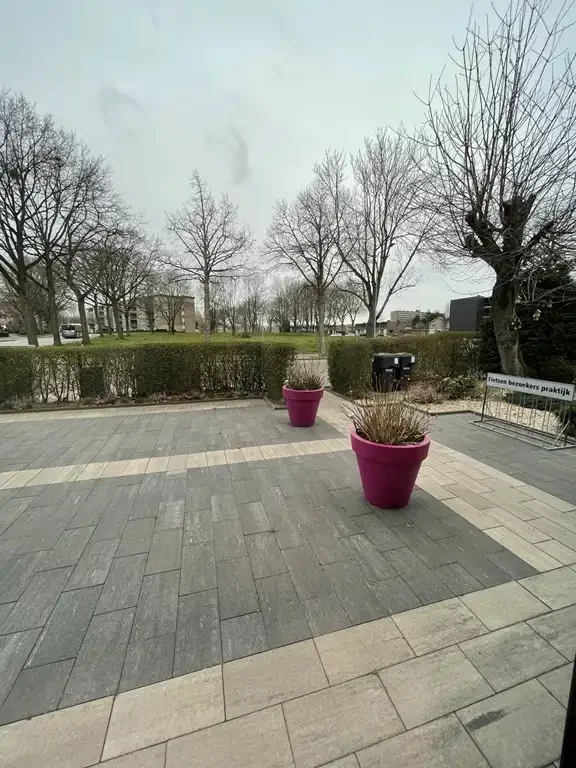 geblurde versie van de foto als achtergrond