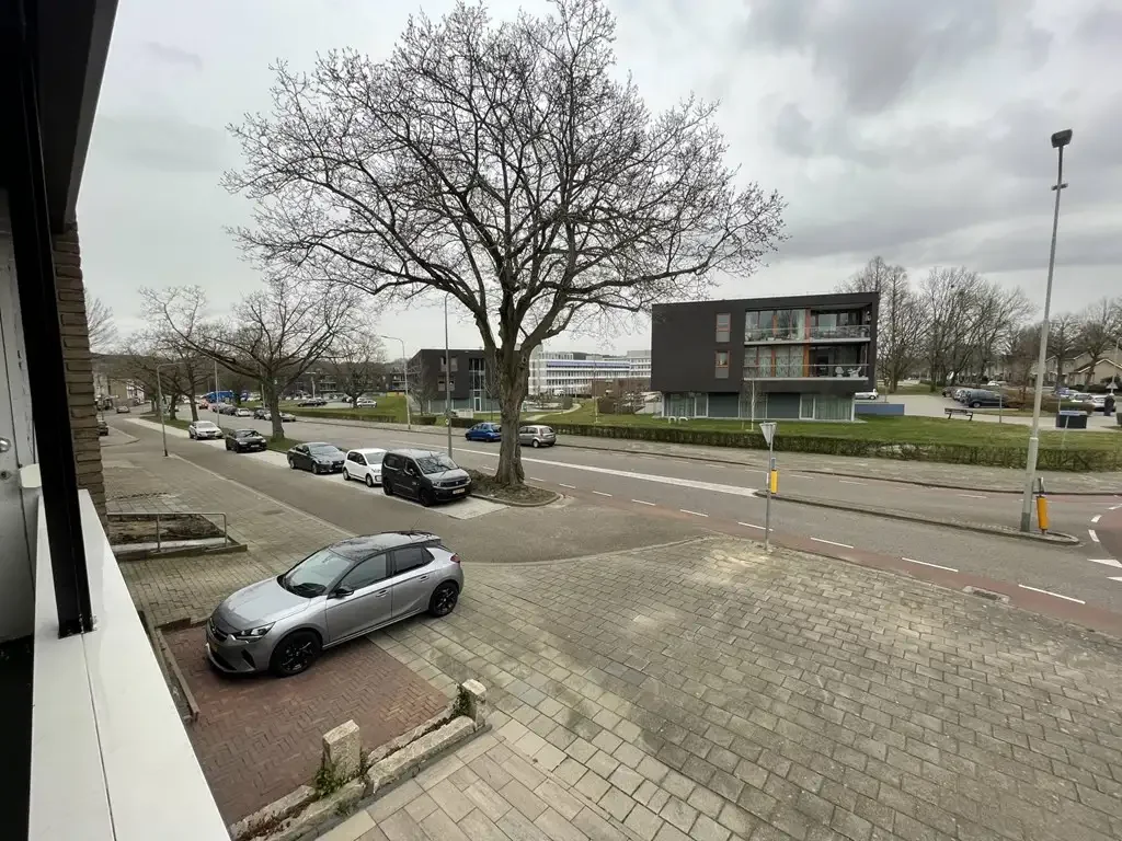 geblurde versie van de foto als achtergrond