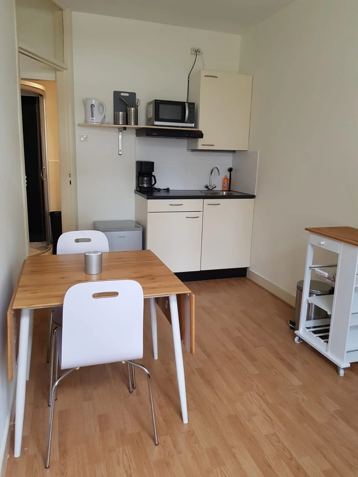 Foto van de Studio gelegen aan de Van den Boschstraat in Den Haag