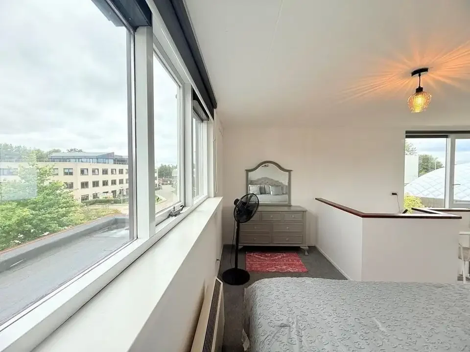 geblurde versie van de foto als achtergrond
