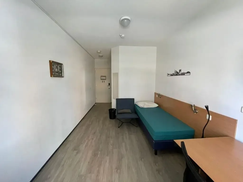 geblurde versie van de foto als achtergrond