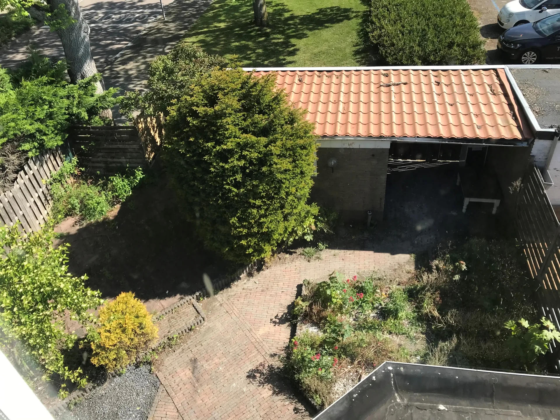 geblurde versie van de foto als achtergrond