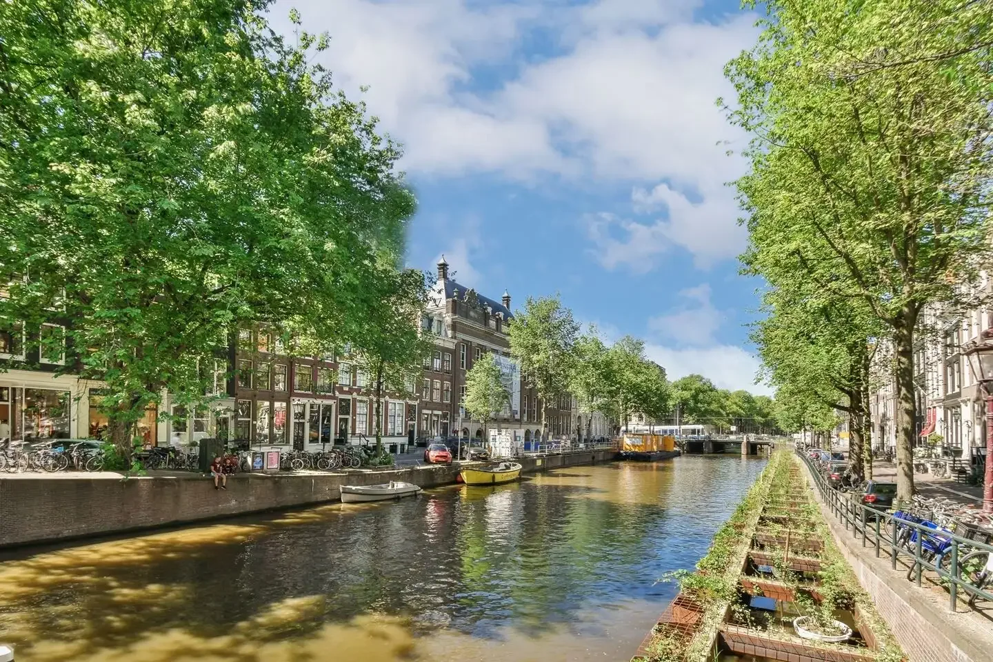 geblurde versie van de foto als achtergrond