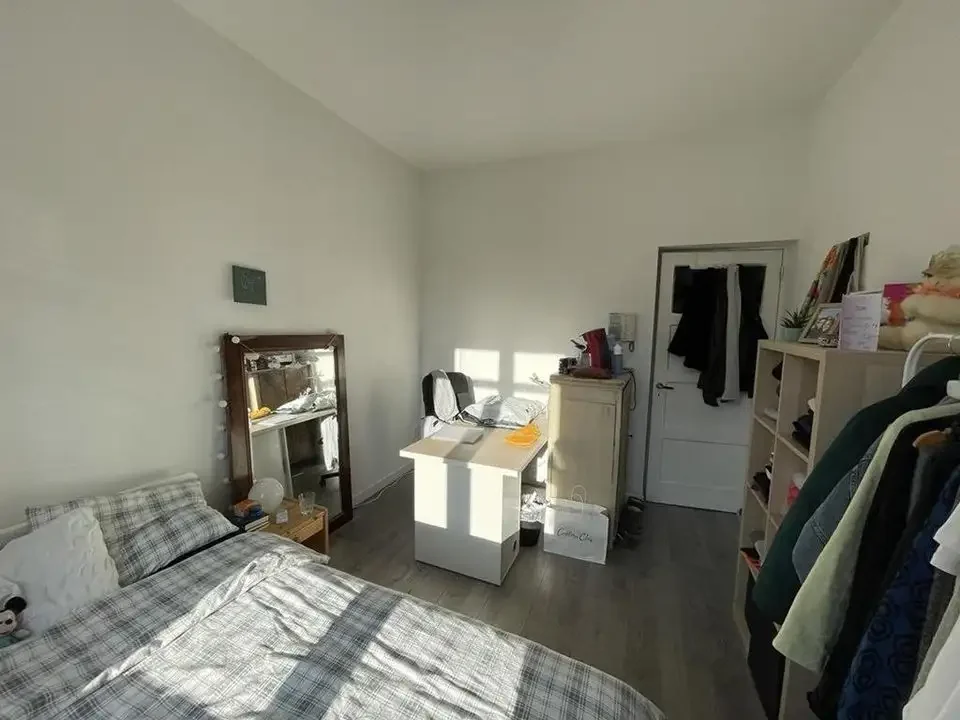 geblurde versie van de foto als achtergrond