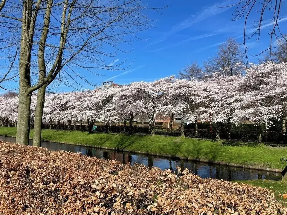 Foto van de Appartement gelegen aan de Kamerlingh Onnesstraat in Amstelveen
