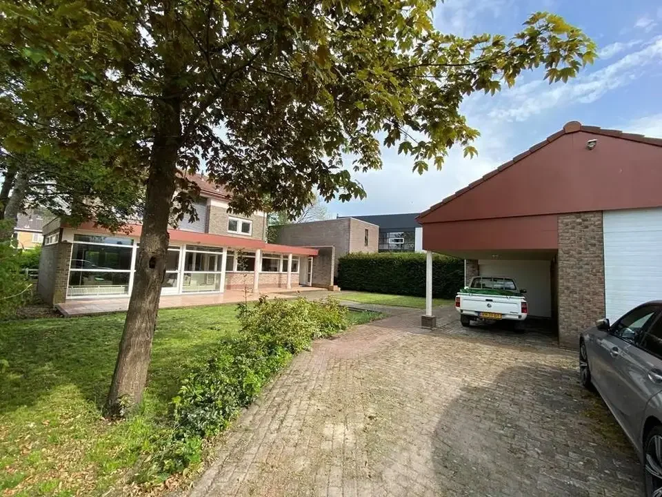 geblurde versie van de foto als achtergrond