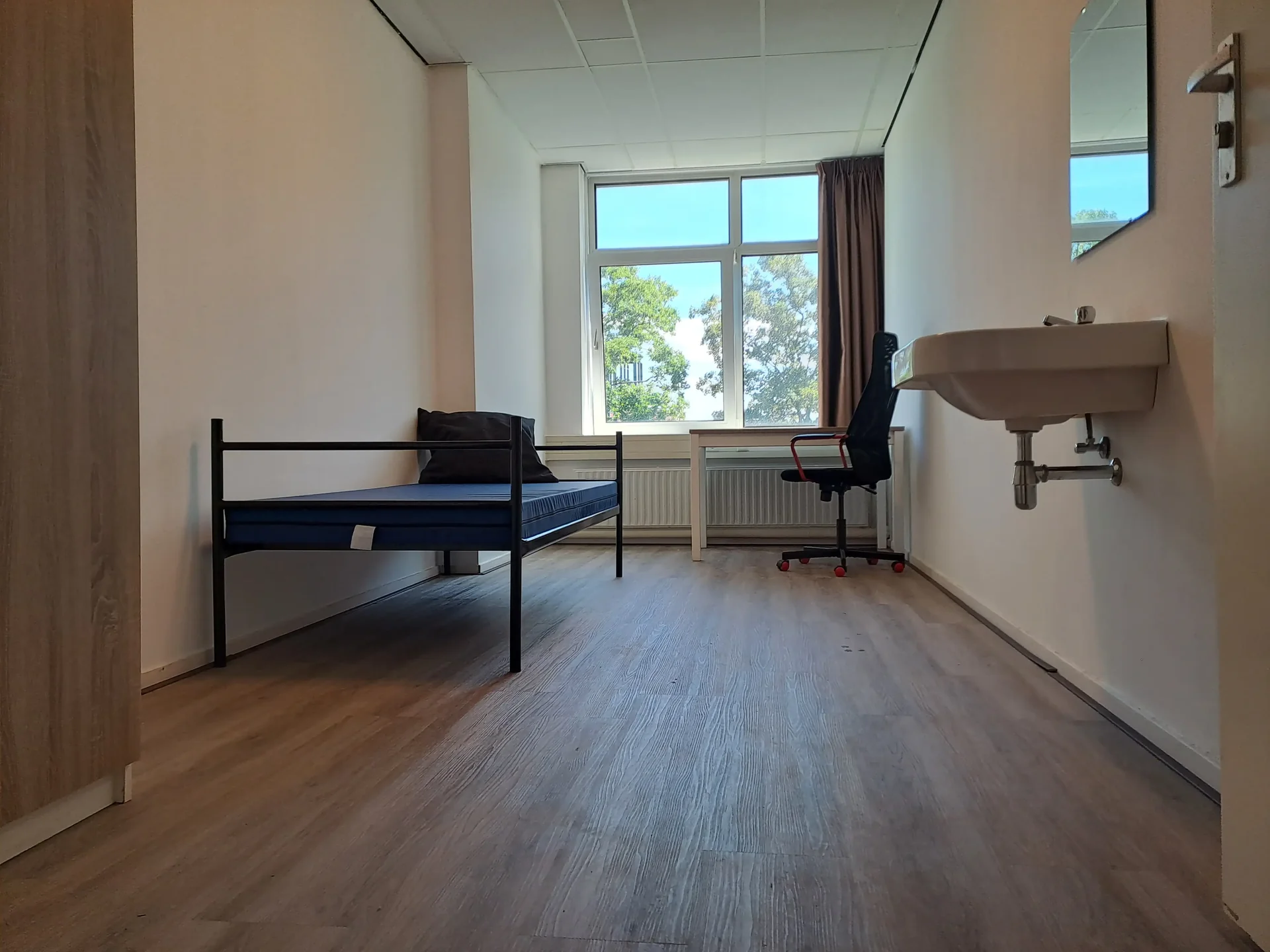 geblurde versie van de foto als achtergrond