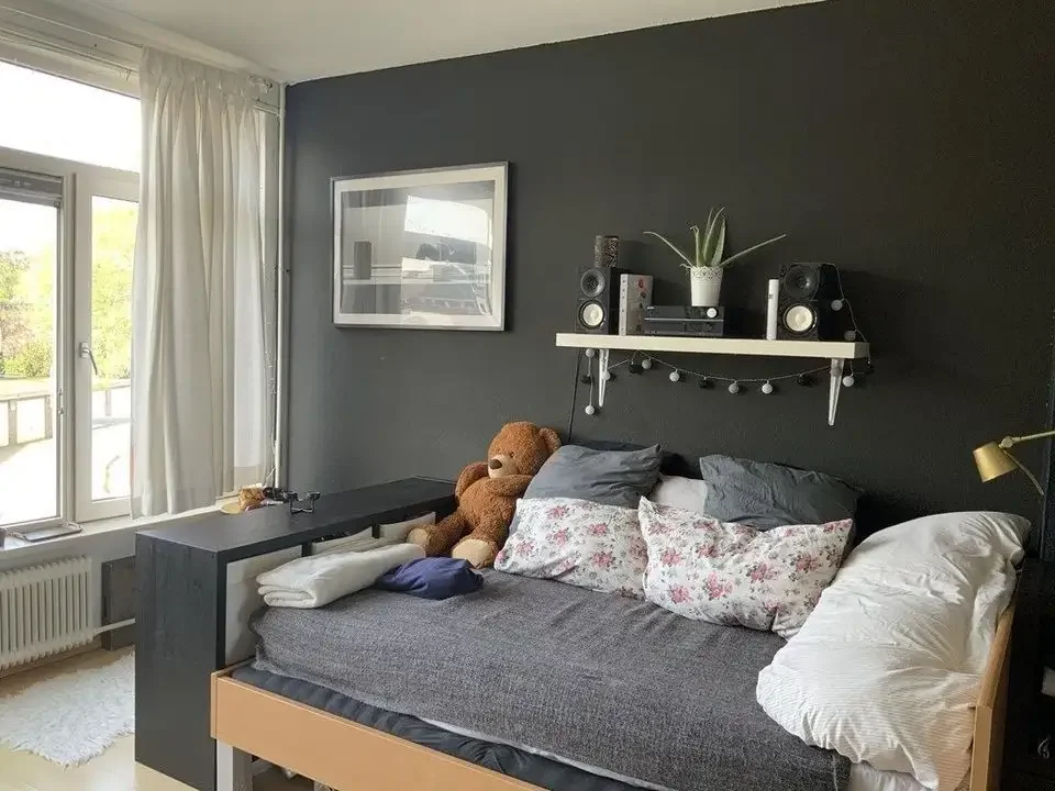 geblurde versie van de foto als achtergrond