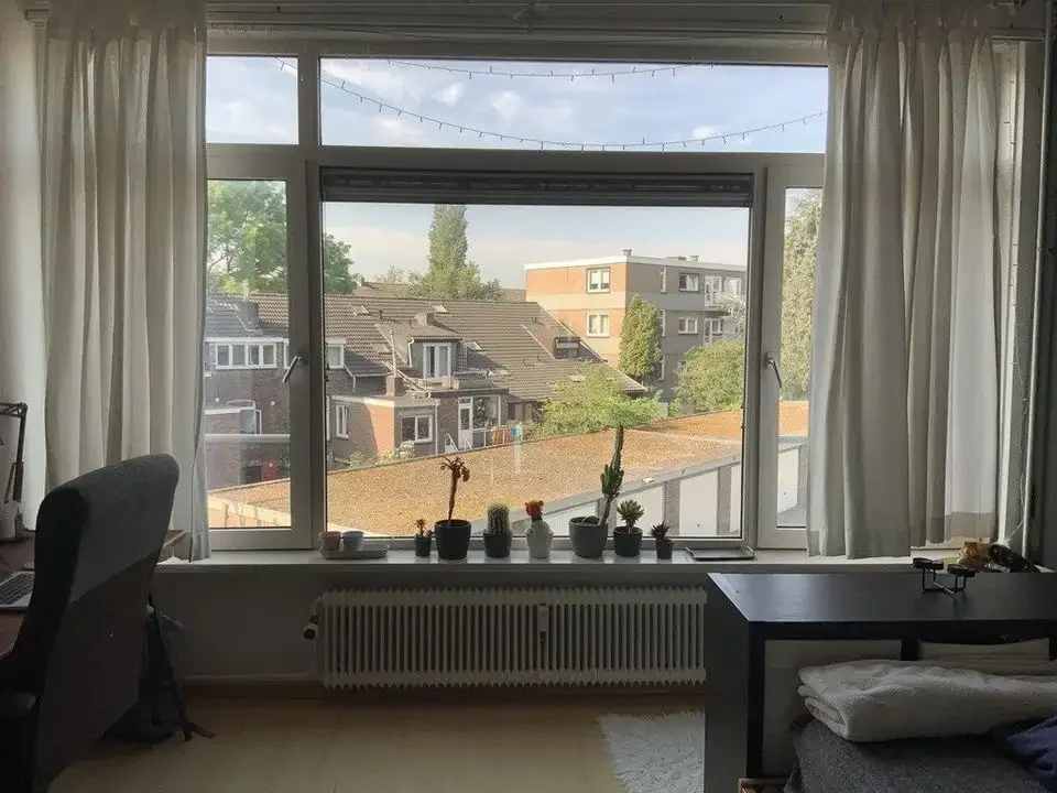 geblurde versie van de foto als achtergrond