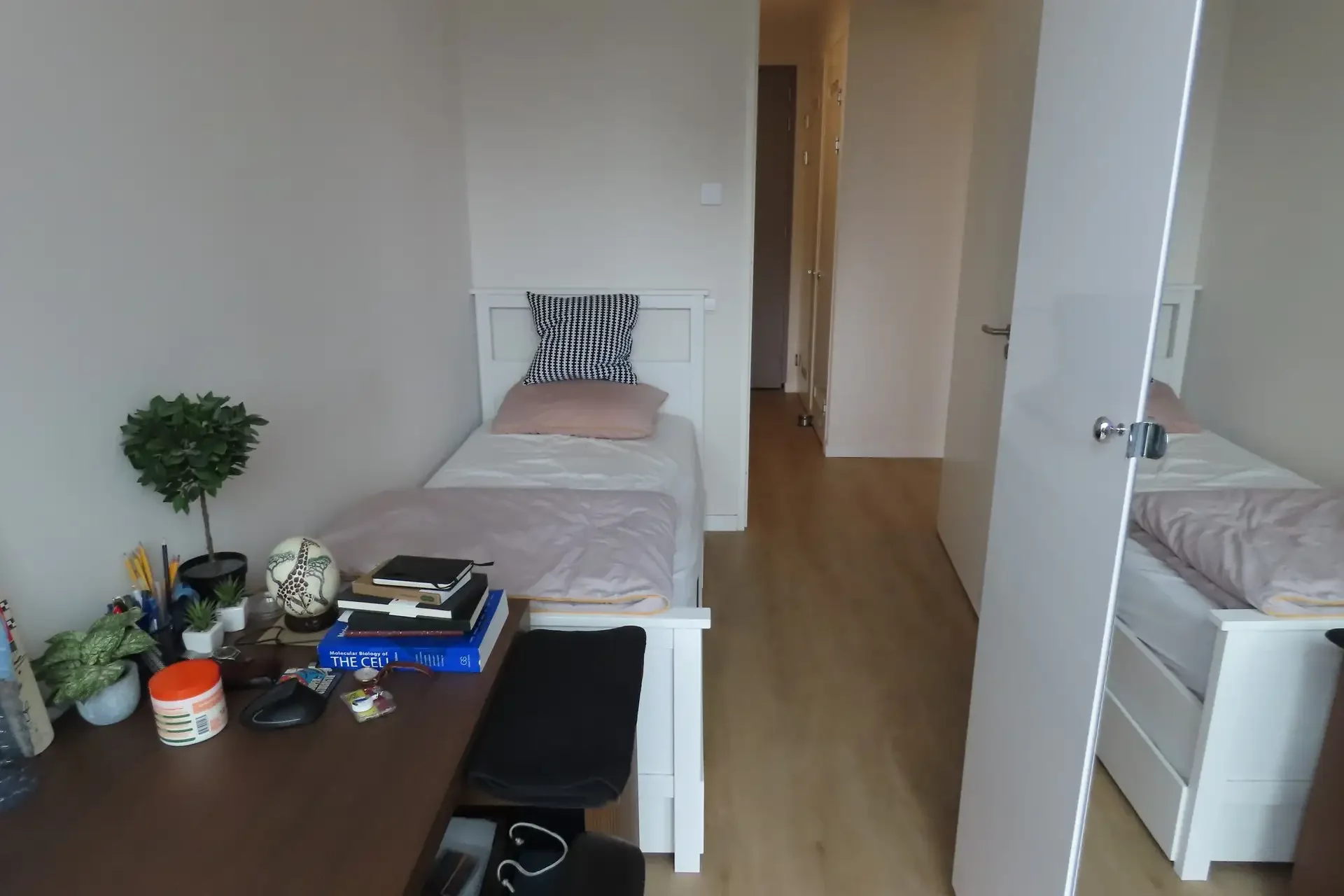 geblurde versie van de foto als achtergrond