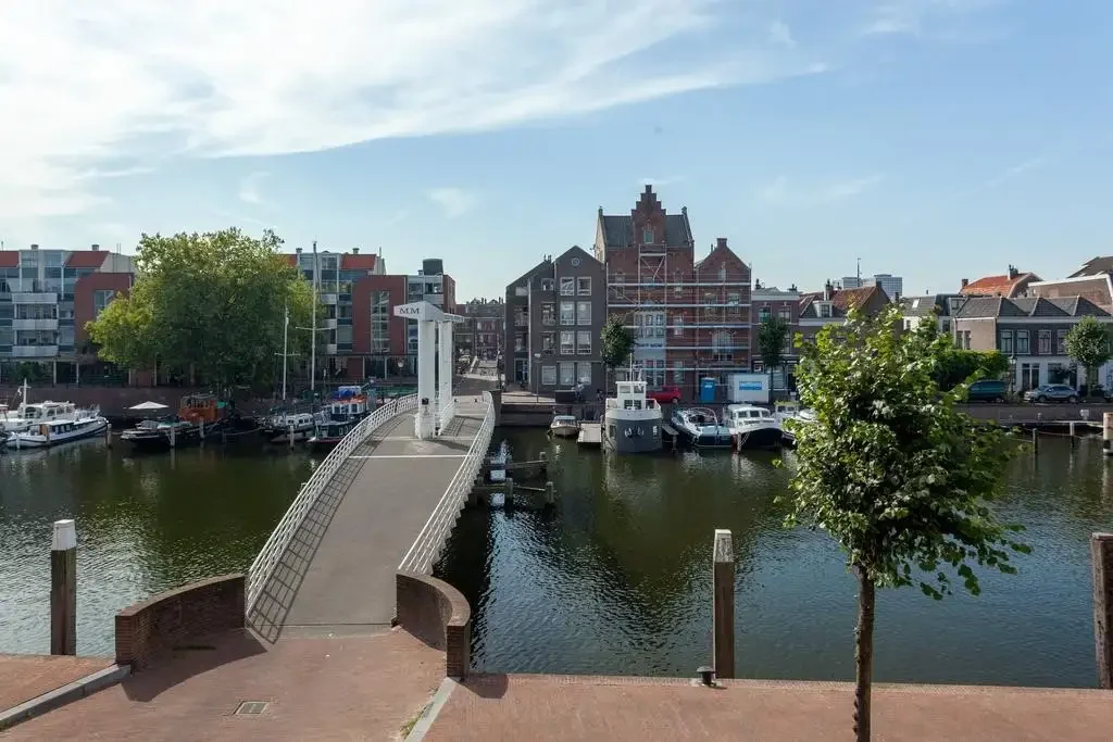 geblurde versie van de foto als achtergrond