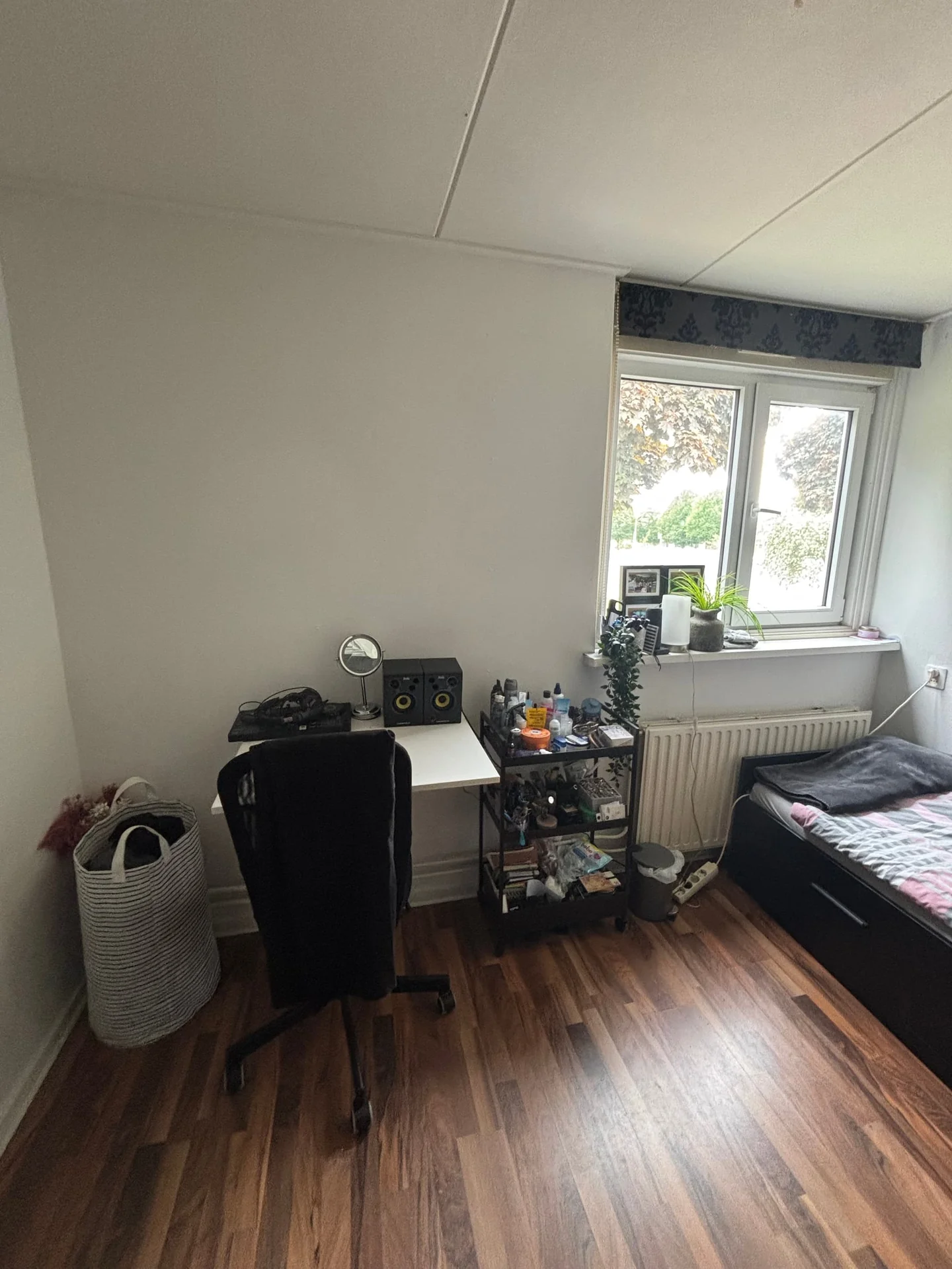Foto van de Kamer gelegen aan de Goeman Borgesiusstraat in Nijmegen