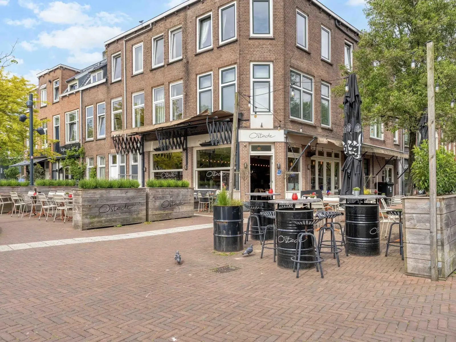 geblurde versie van de foto als achtergrond