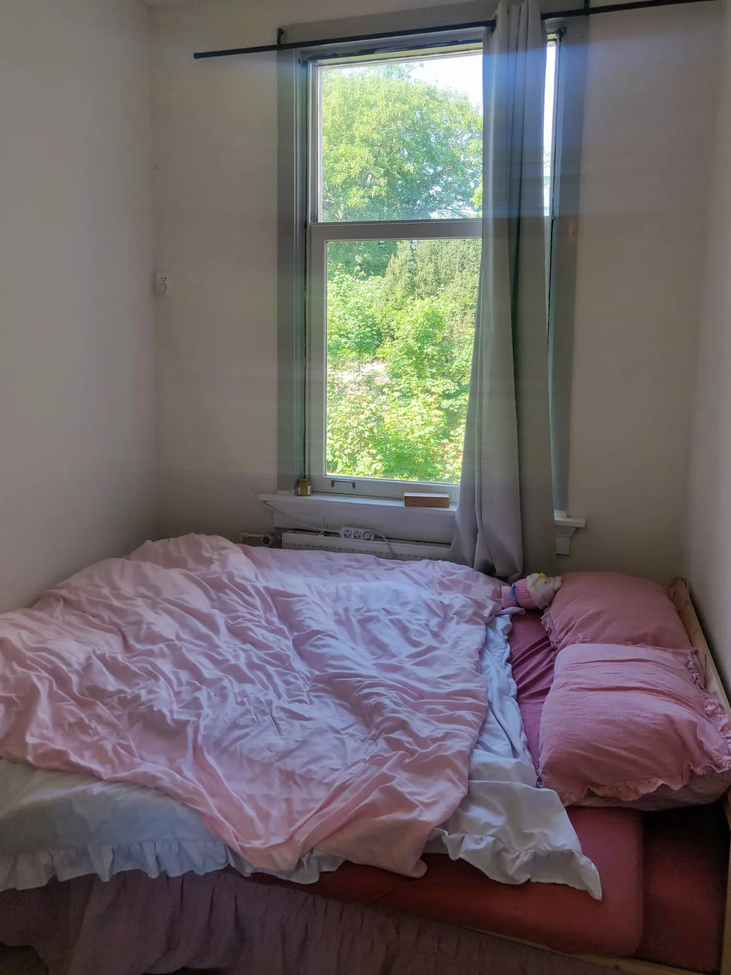 geblurde versie van de foto als achtergrond