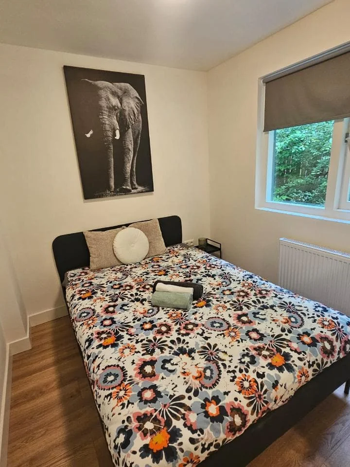 geblurde versie van de foto als achtergrond