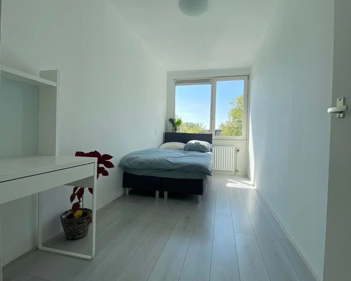 geblurde versie van de foto als achtergrond