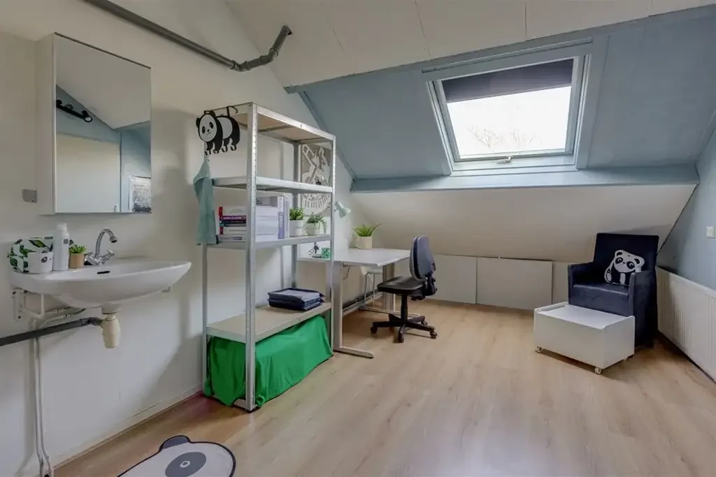 geblurde versie van de foto als achtergrond